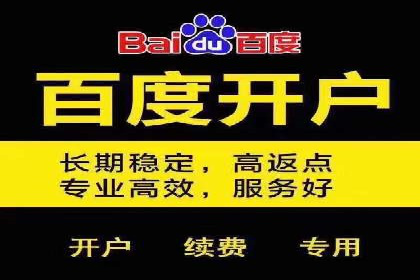 Sem优化公司案例：打造高效广告投放策略